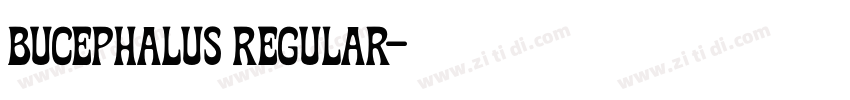 Bucephalus Regular字体转换